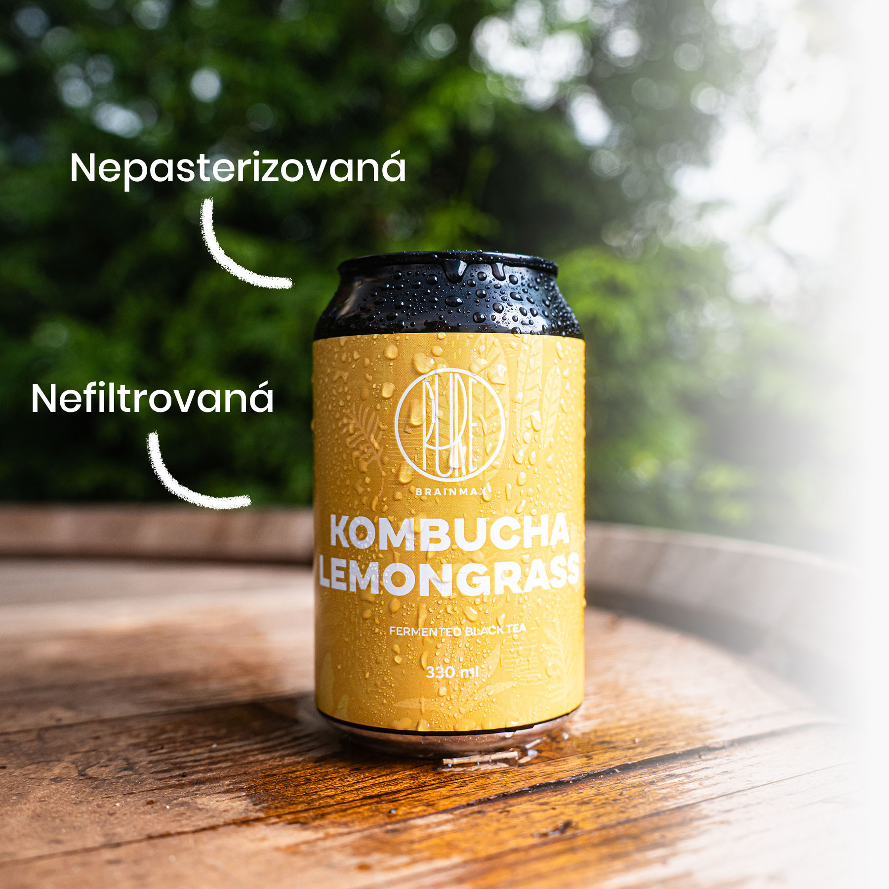 kombucha szczegółowo trawa cytrynowa